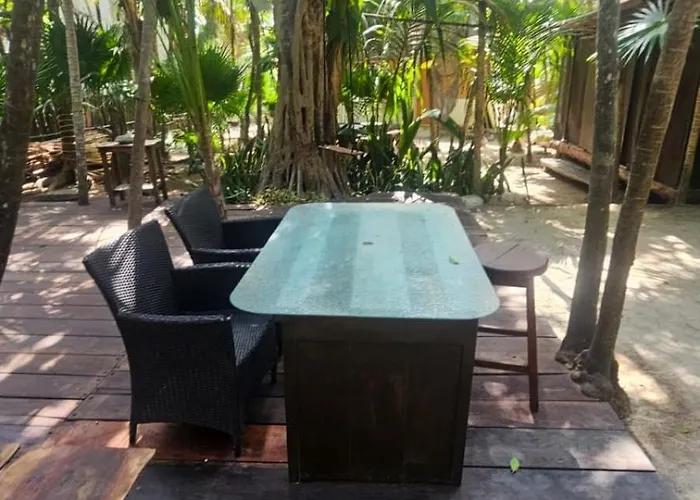Eco.banitas
