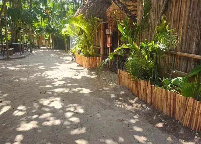 Eco.banitas 3*
