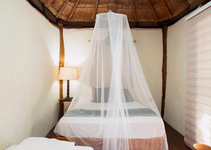 Eco.banitas Hotel 3*